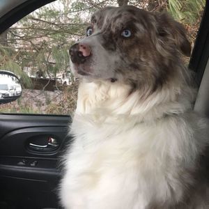 Meet your Posher, Kara